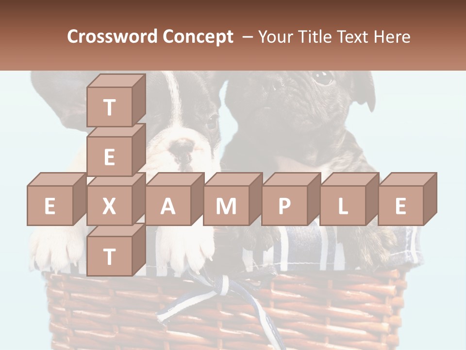 Two Puppies Are Sitting In A Basket PowerPoint Template