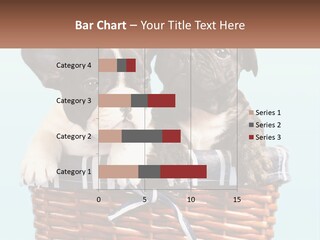Two Puppies Are Sitting In A Basket PowerPoint Template