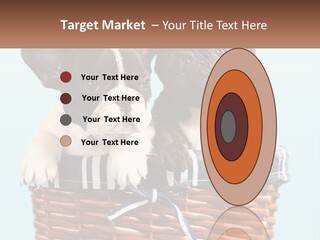 Two Puppies Are Sitting In A Basket PowerPoint Template