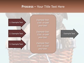Two Puppies Are Sitting In A Basket PowerPoint Template