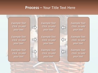 Two Puppies Are Sitting In A Basket PowerPoint Template