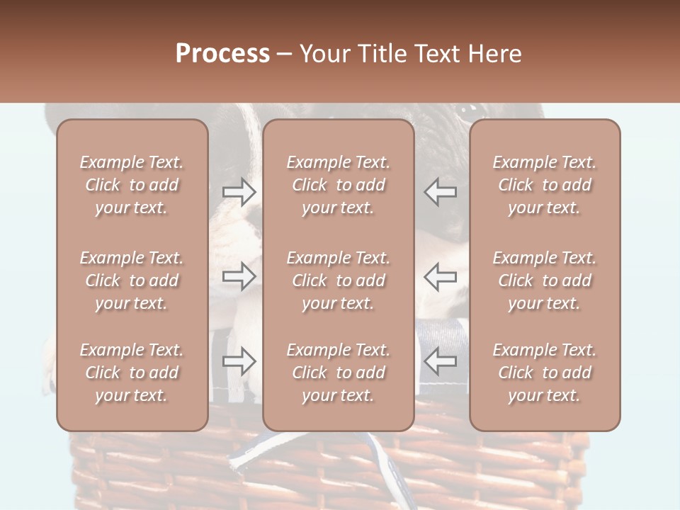 Two Puppies Are Sitting In A Basket PowerPoint Template