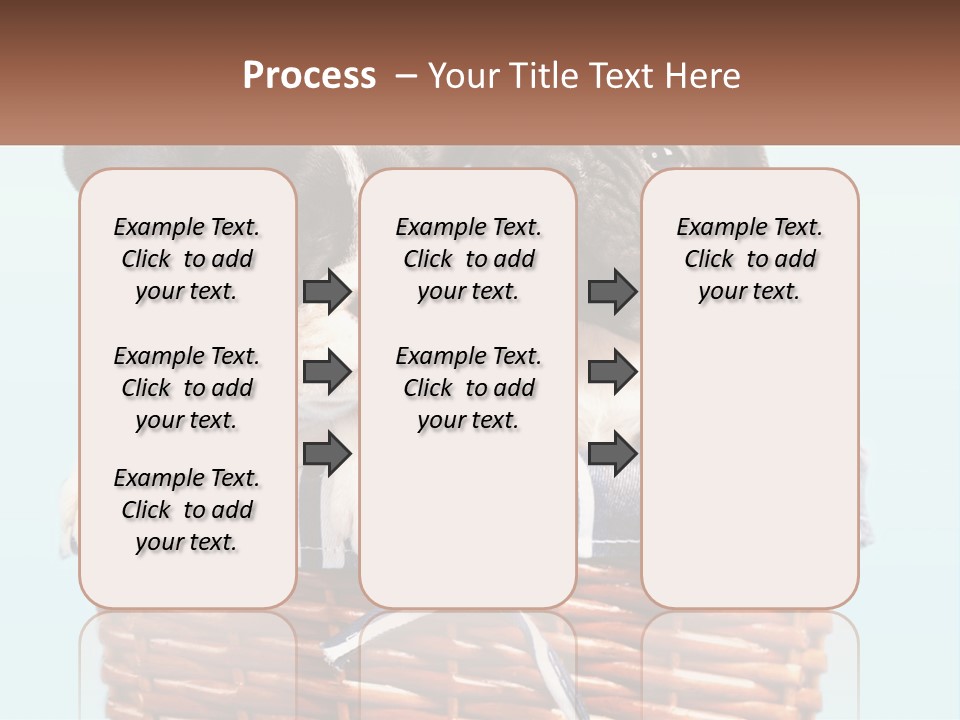 Two Puppies Are Sitting In A Basket PowerPoint Template