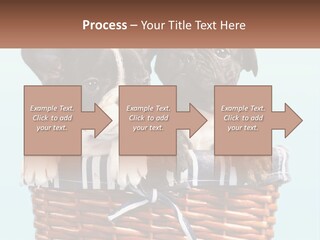 Two Puppies Are Sitting In A Basket PowerPoint Template
