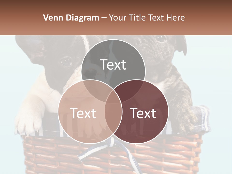 Two Puppies Are Sitting In A Basket PowerPoint Template