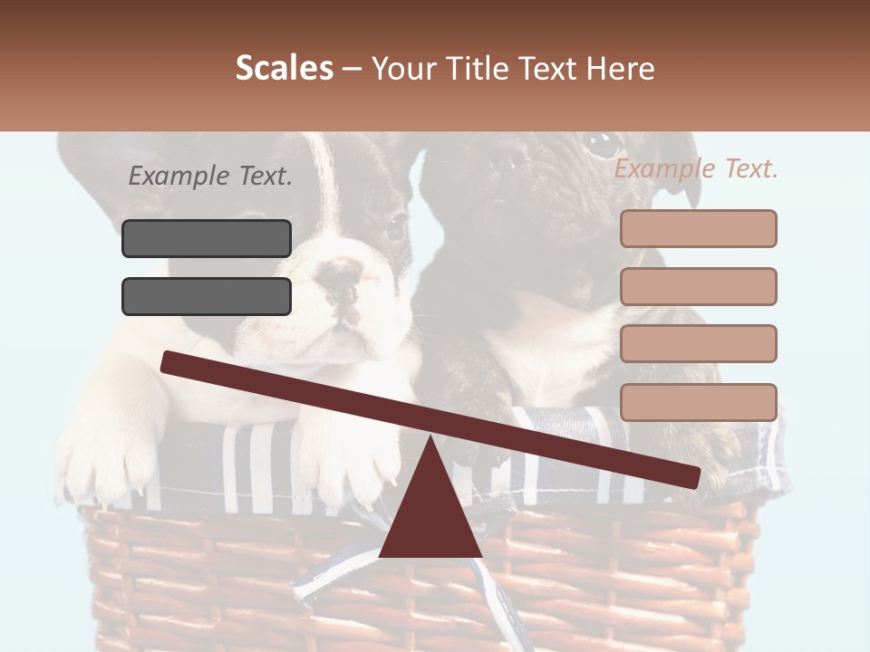 Two Puppies Are Sitting In A Basket PowerPoint Template
