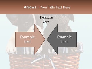 Two Puppies Are Sitting In A Basket PowerPoint Template