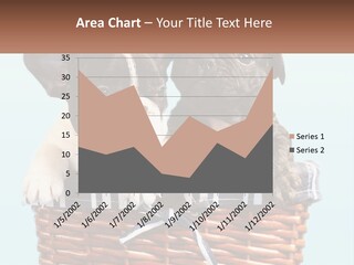 Two Puppies Are Sitting In A Basket PowerPoint Template