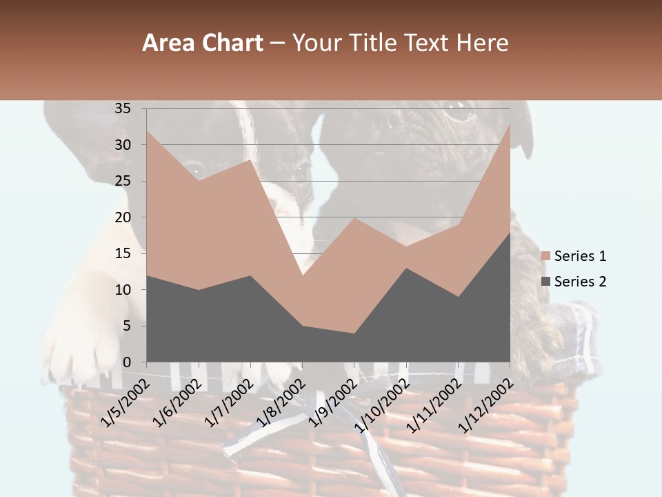 Two Puppies Are Sitting In A Basket PowerPoint Template