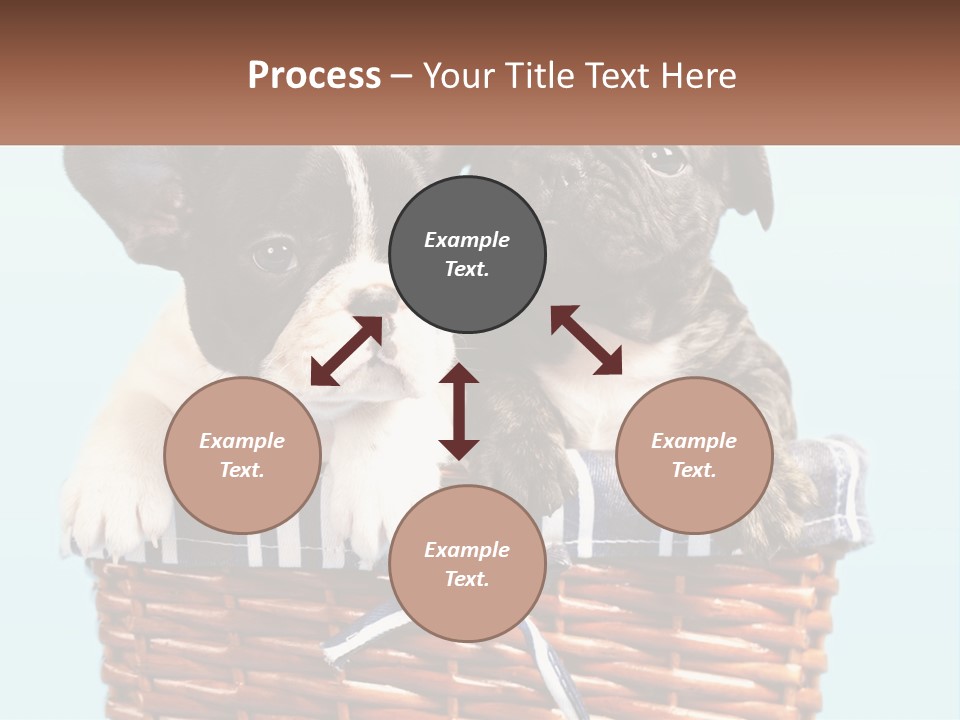 Two Puppies Are Sitting In A Basket PowerPoint Template