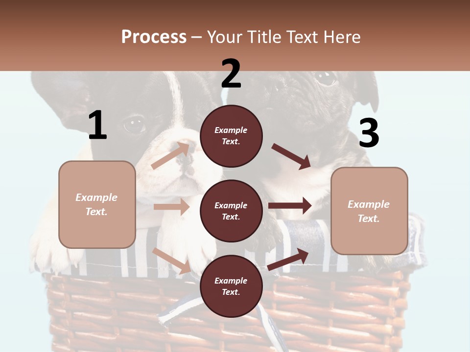 Two Puppies Are Sitting In A Basket PowerPoint Template