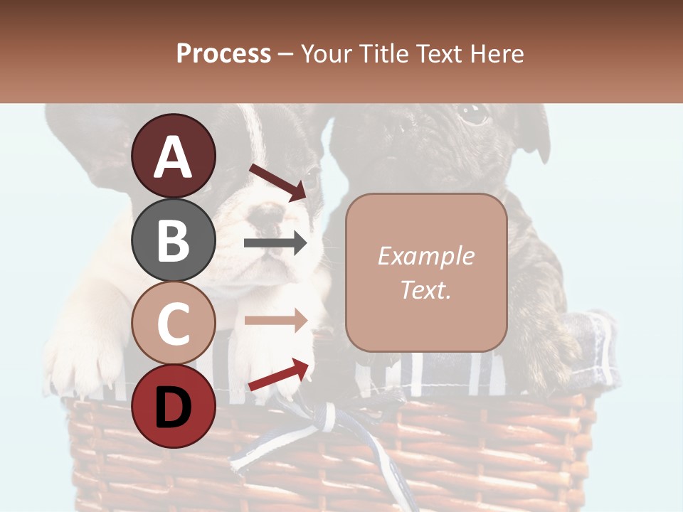Two Puppies Are Sitting In A Basket PowerPoint Template