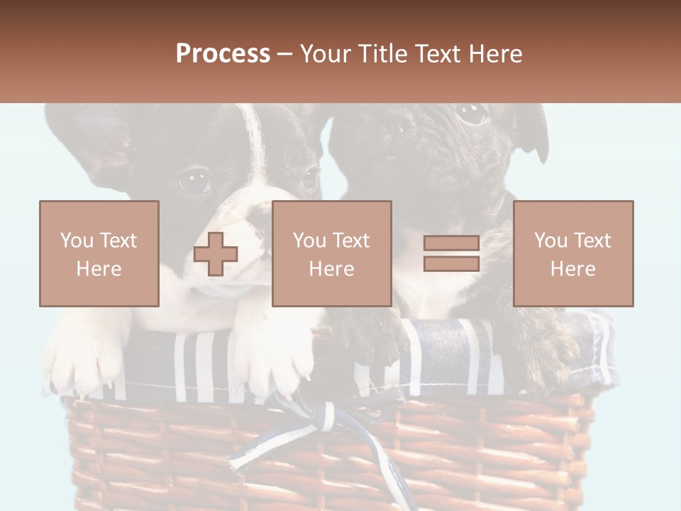 Two Puppies Are Sitting In A Basket PowerPoint Template