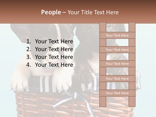 Two Puppies Are Sitting In A Basket PowerPoint Template