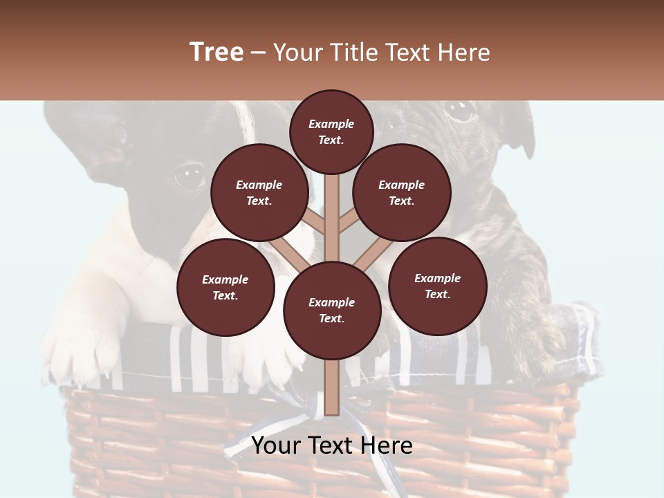 Two Puppies Are Sitting In A Basket PowerPoint Template