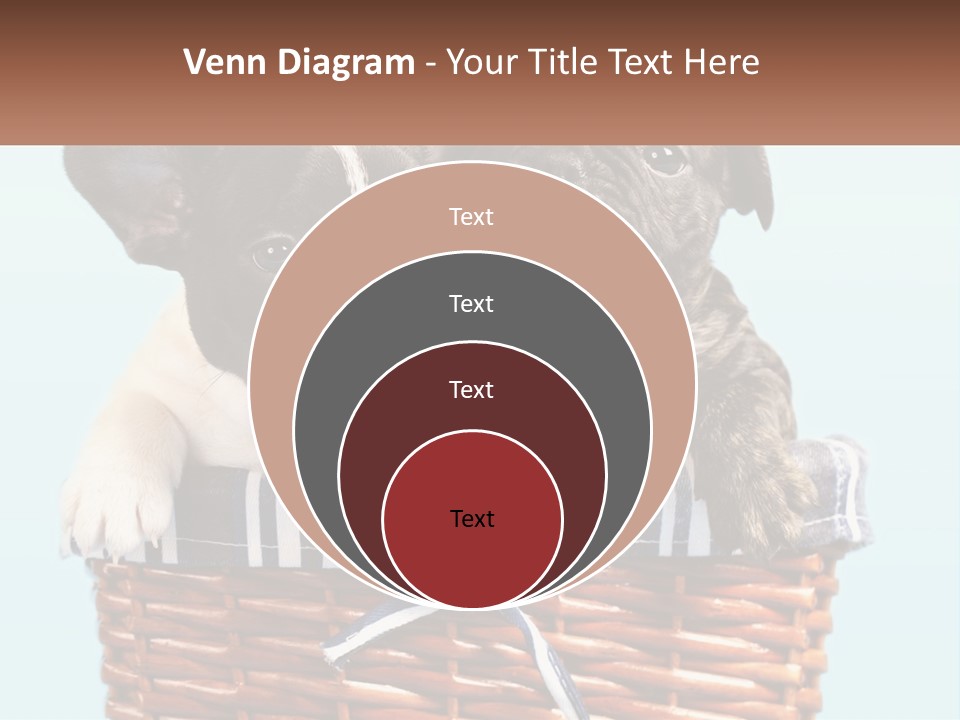 Two Puppies Are Sitting In A Basket PowerPoint Template