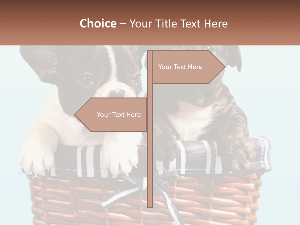 Two Puppies Are Sitting In A Basket PowerPoint Template