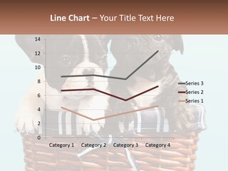 Two Puppies Are Sitting In A Basket PowerPoint Template