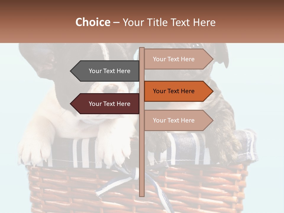 Two Puppies Are Sitting In A Basket PowerPoint Template