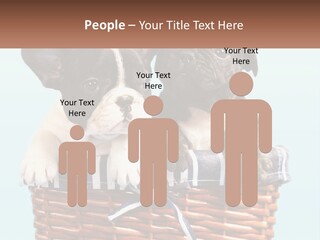 Two Puppies Are Sitting In A Basket PowerPoint Template