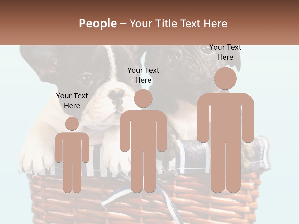 Two Puppies Are Sitting In A Basket PowerPoint Template