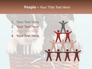 Two Puppies Are Sitting In A Basket PowerPoint Template