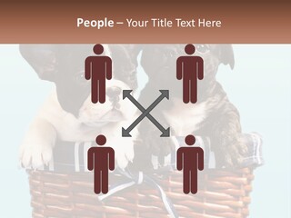 Two Puppies Are Sitting In A Basket PowerPoint Template