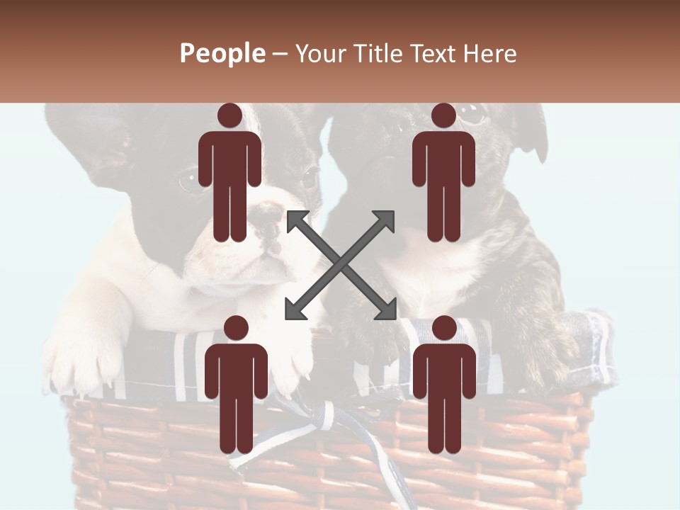 Two Puppies Are Sitting In A Basket PowerPoint Template