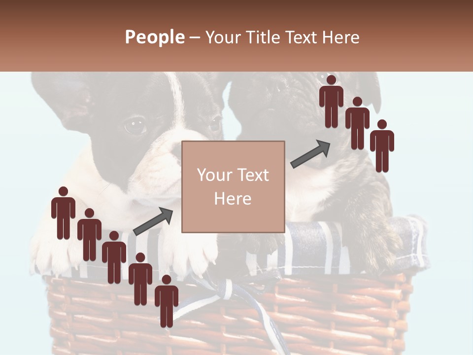 Two Puppies Are Sitting In A Basket PowerPoint Template