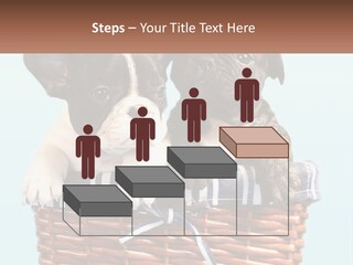 Two Puppies Are Sitting In A Basket PowerPoint Template