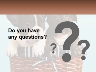 Two Puppies Are Sitting In A Basket PowerPoint Template