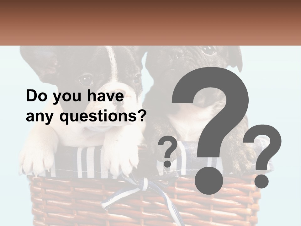 Two Puppies Are Sitting In A Basket PowerPoint Template