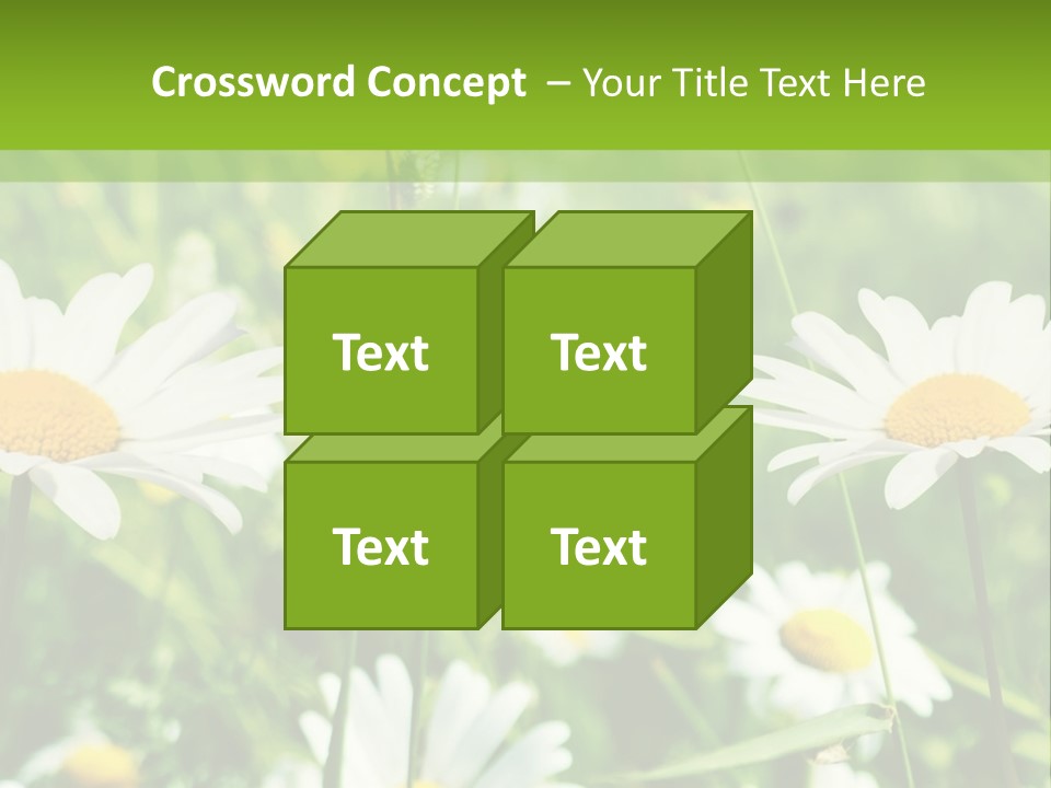 A Field Of Daisies Powerpoint Template PowerPoint Template