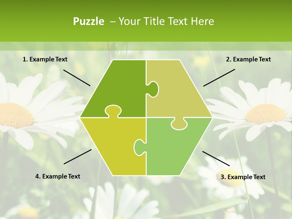 A Field Of Daisies Powerpoint Template PowerPoint Template