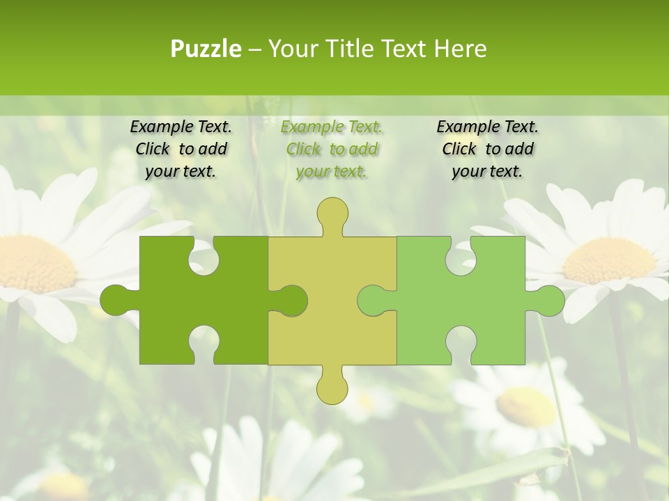 A Field Of Daisies Powerpoint Template PowerPoint Template