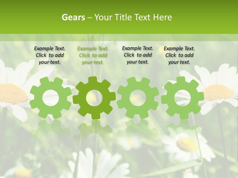 A Field Of Daisies Powerpoint Template PowerPoint Template