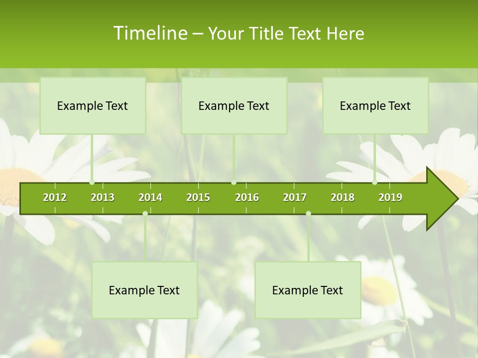 A Field Of Daisies Powerpoint Template PowerPoint Template