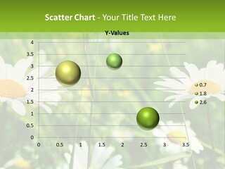 A Field Of Daisies Powerpoint Template PowerPoint Template