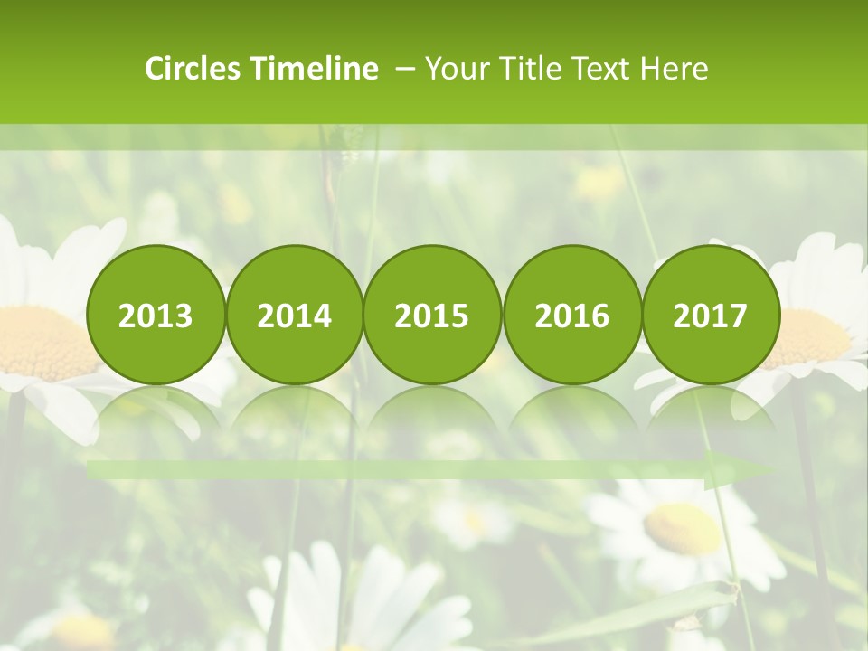 A Field Of Daisies Powerpoint Template PowerPoint Template