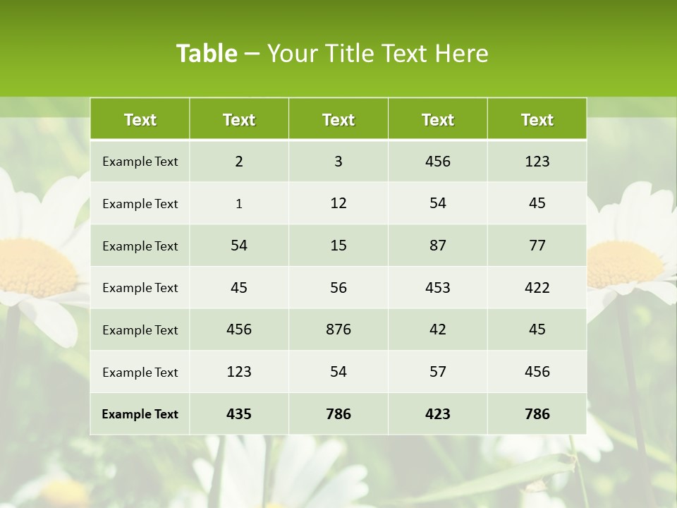 A Field Of Daisies Powerpoint Template PowerPoint Template