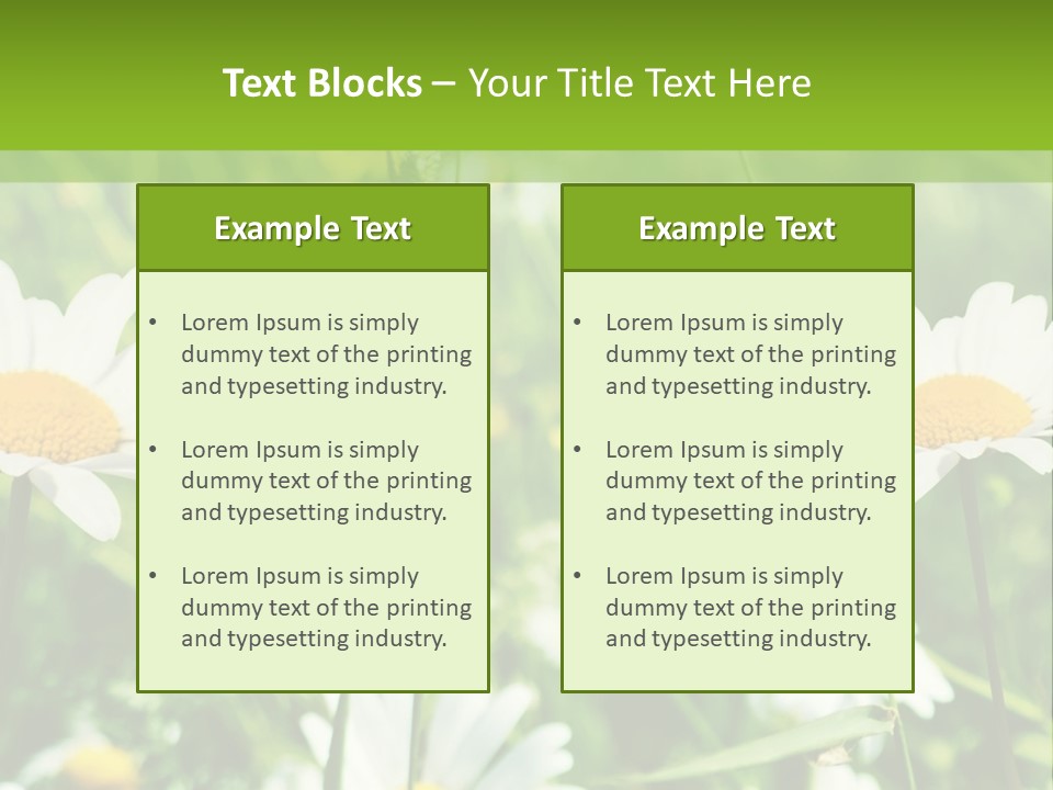 A Field Of Daisies Powerpoint Template PowerPoint Template