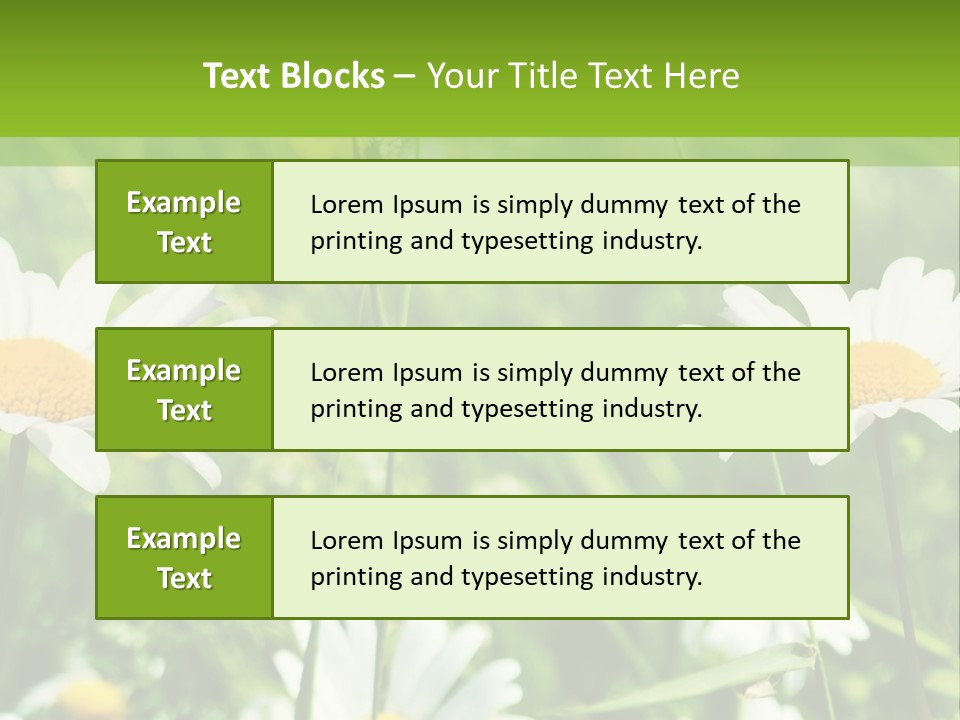 A Field Of Daisies Powerpoint Template PowerPoint Template