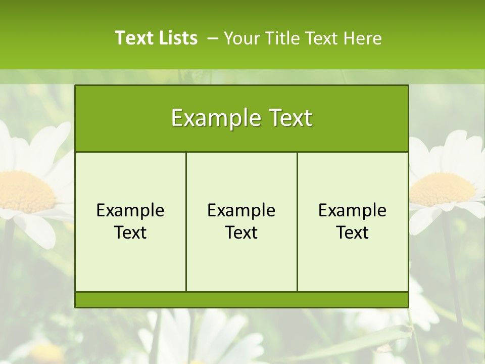 A Field Of Daisies Powerpoint Template PowerPoint Template