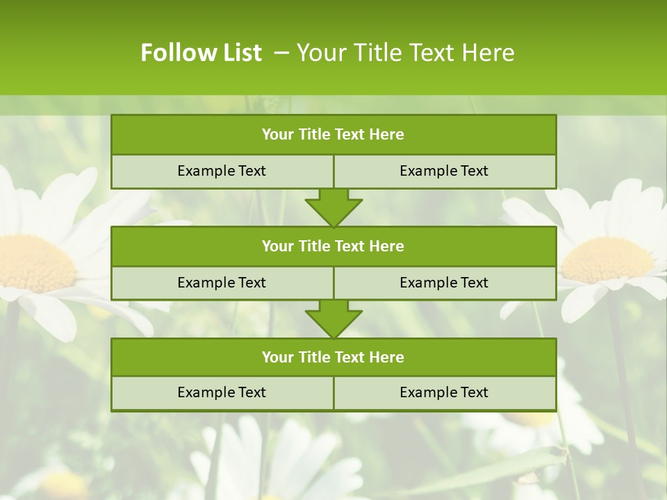 A Field Of Daisies Powerpoint Template PowerPoint Template