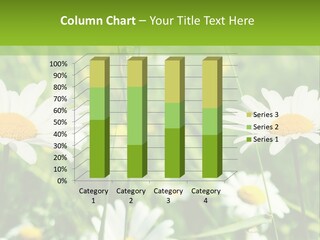 A Field Of Daisies Powerpoint Template PowerPoint Template