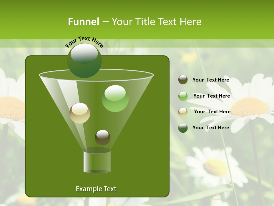 A Field Of Daisies Powerpoint Template PowerPoint Template