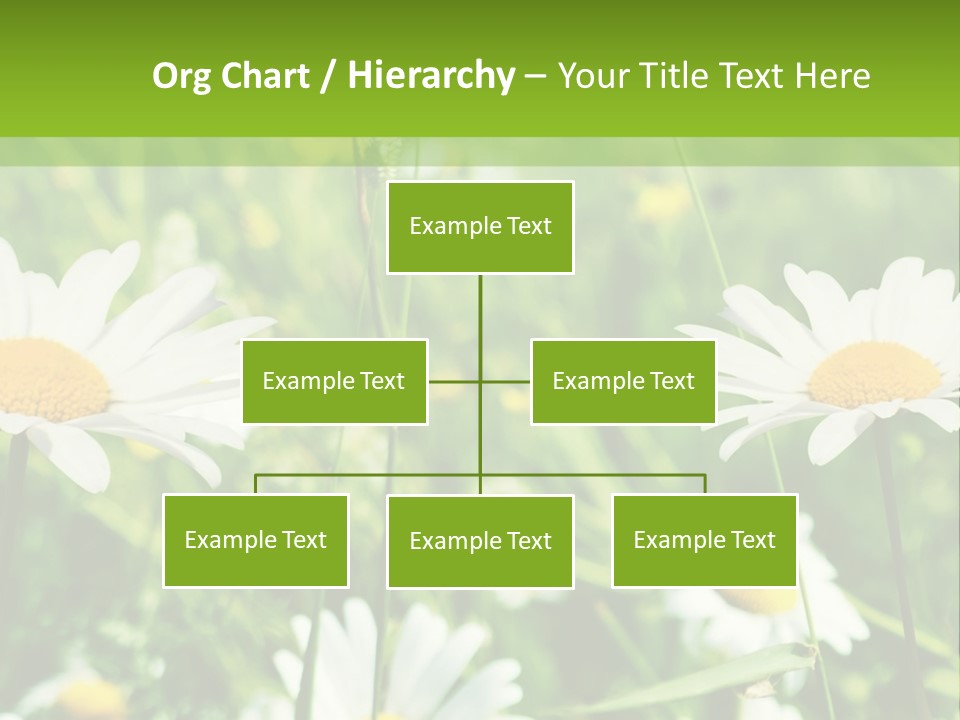 A Field Of Daisies Powerpoint Template PowerPoint Template