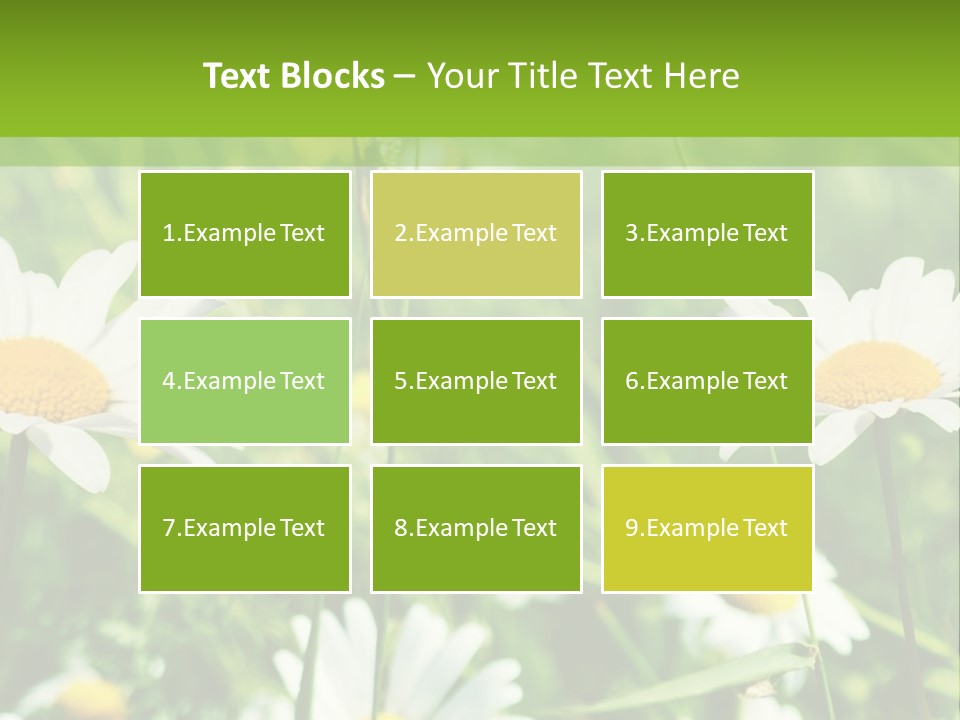 A Field Of Daisies Powerpoint Template PowerPoint Template