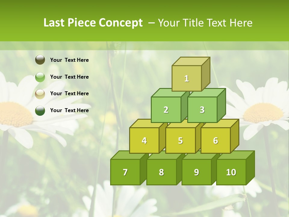 A Field Of Daisies Powerpoint Template PowerPoint Template