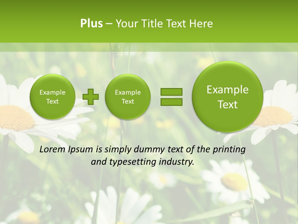 A Field Of Daisies Powerpoint Template PowerPoint Template